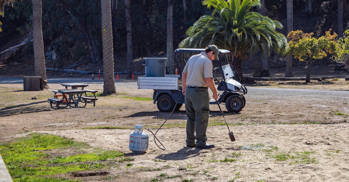 Lawn Upkeep